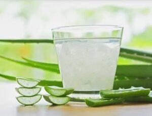 wellhealthorganic.com : neem and aloe vera juice